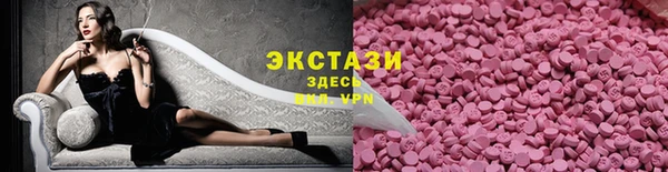 ECSTASY Богданович